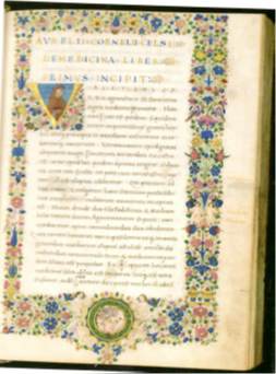 【下肢静脈瘤の歴史】 2 【下肢静脈瘤の歴史】