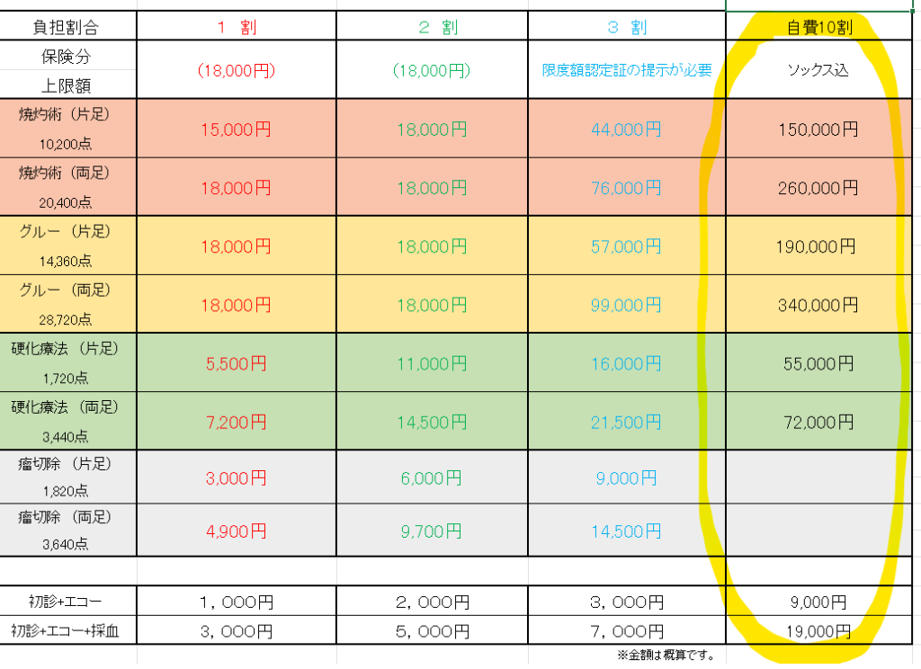 【下肢静脈瘤の診察・治療を日本で・・・】 1 【下肢静脈瘤の診察・治療を日本で・・・】