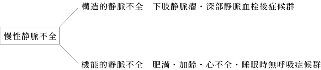 【トランプ大統領が診断された慢性静脈不全とは？】